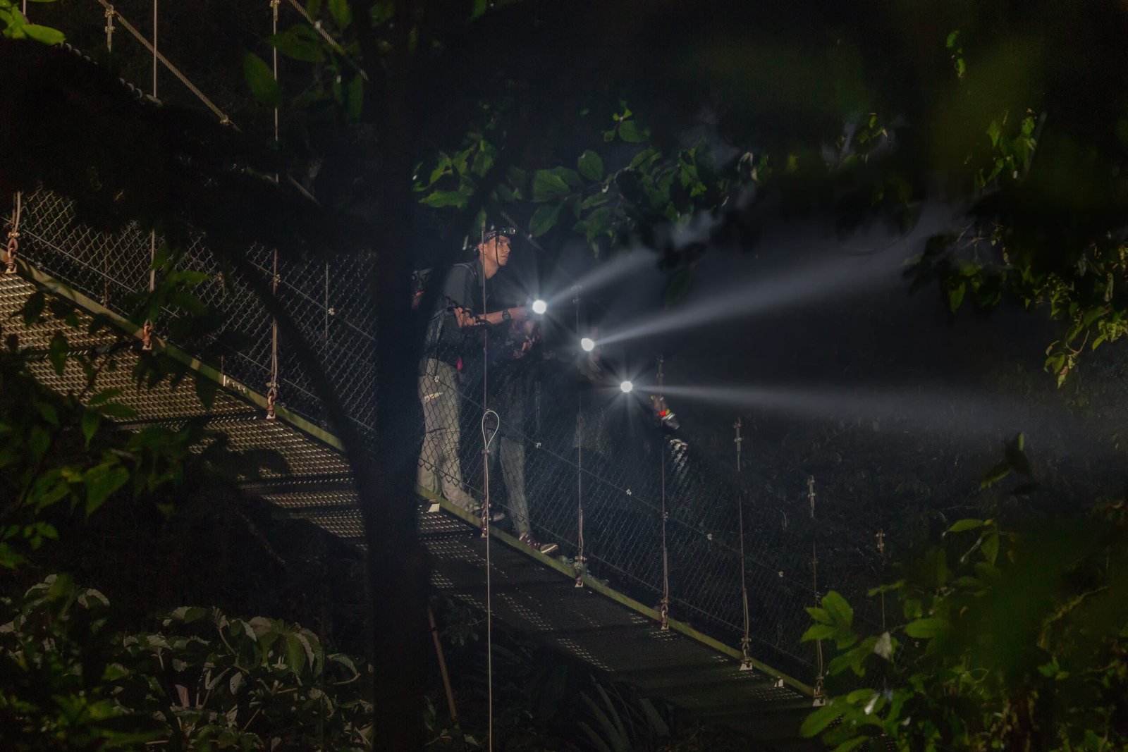Guided Night Walk Tour - Image 8