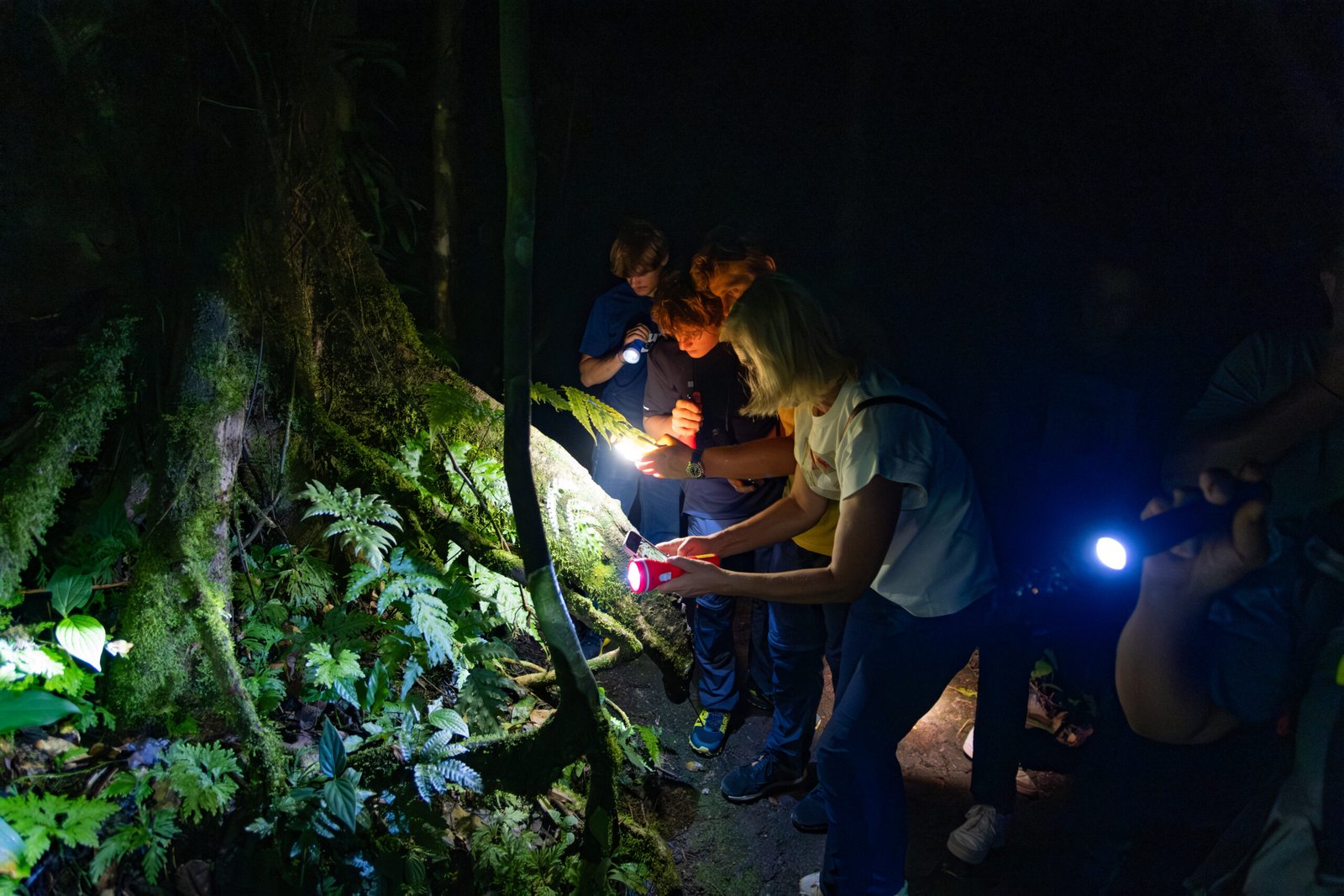 Guided Night Walk Tour - Image 7