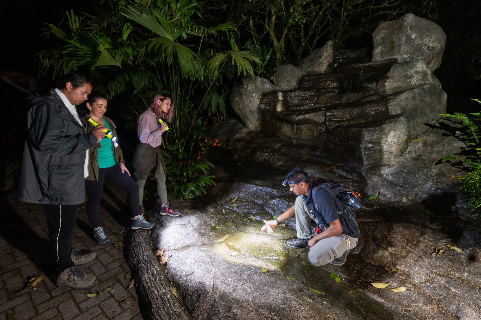 Guided Night Walk Tour - Image 5