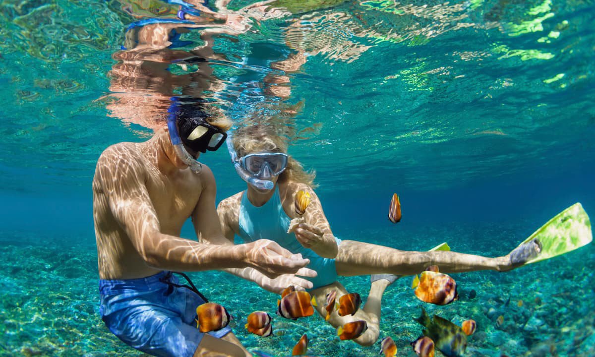 Central Pacific Coastal Snorkeling Tour