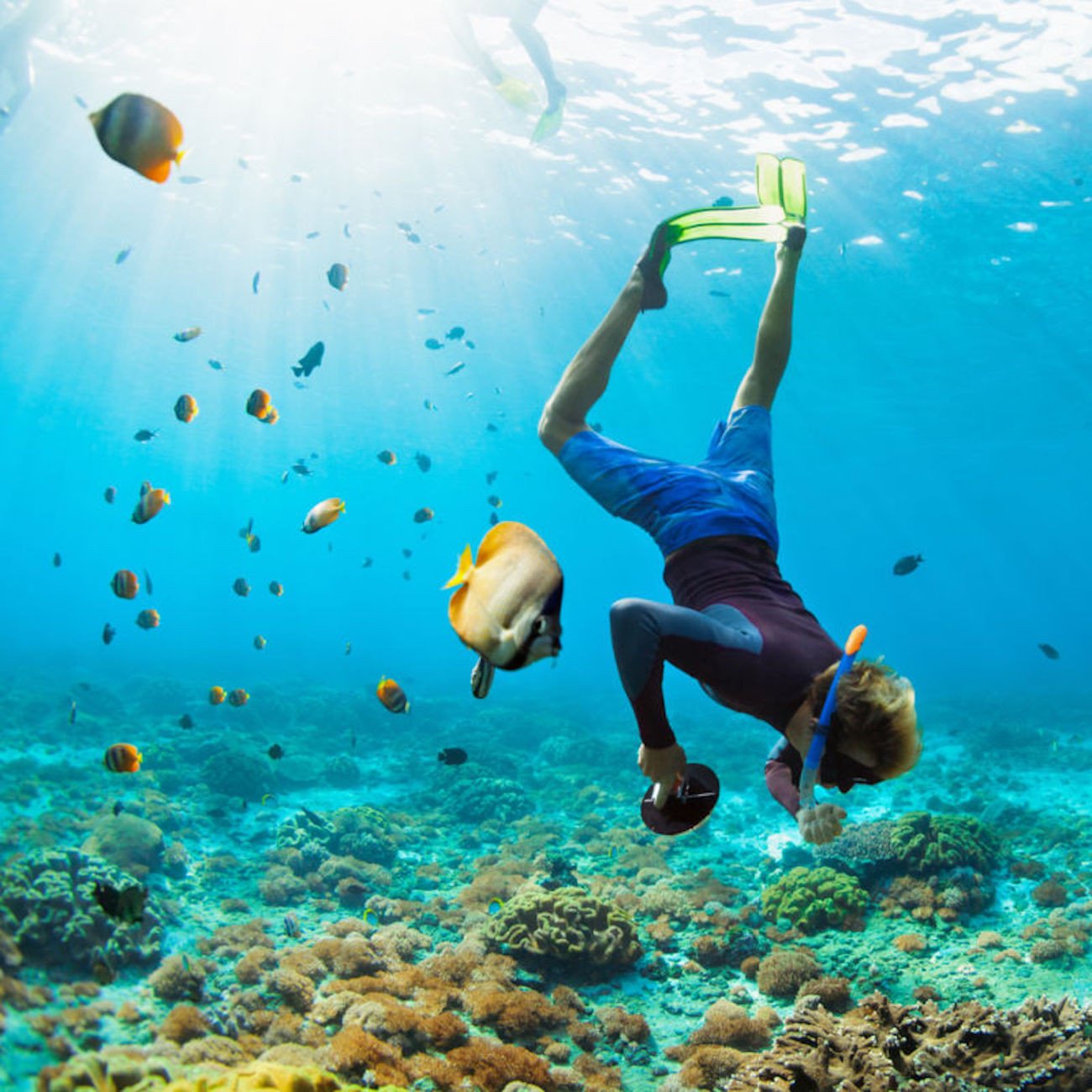 Central Pacific Coastal Snorkeling Tour - Image 2