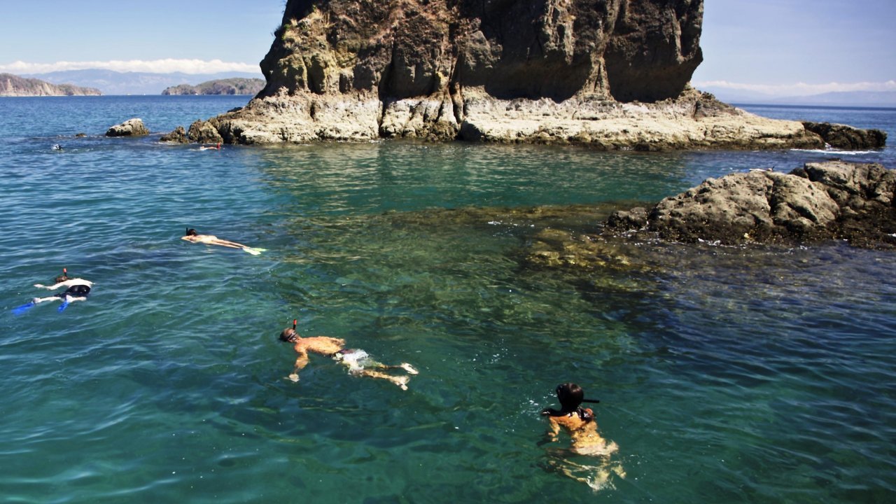 Isla Tortuga Snorkling Tour - Image 4