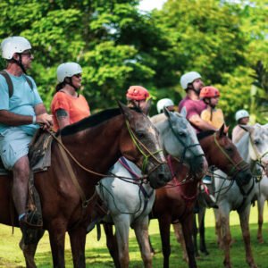 Jaco Horseback Riding Experience