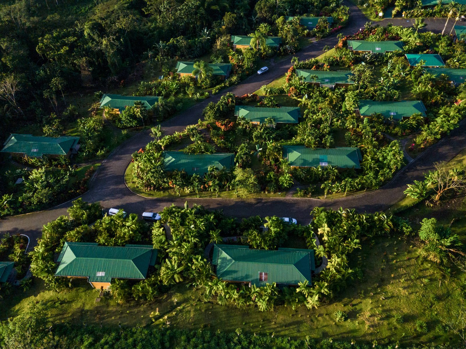 Arenal Manoa