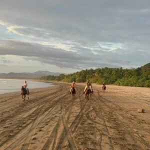 Santa Teresa Horseback Riding Experience